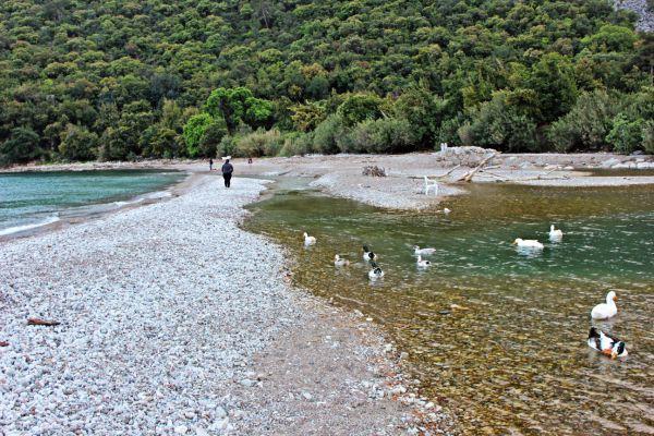 Poseidon Pansiyon Olympos Eksteriør billede